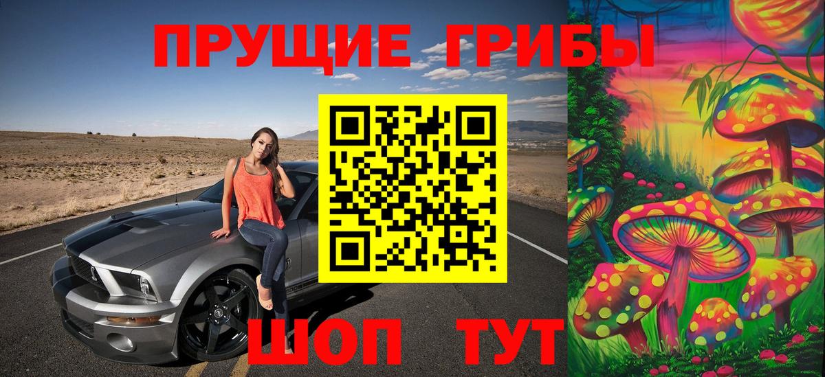 Ногинск  Псилоцибиновые грибы GOLDEN TEACHER  Вход с VPN  Галлюциногенные грибы Psilocybe 