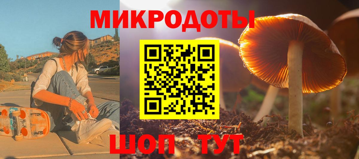 Псилоцибиновые грибы прущие грибы Ногинск