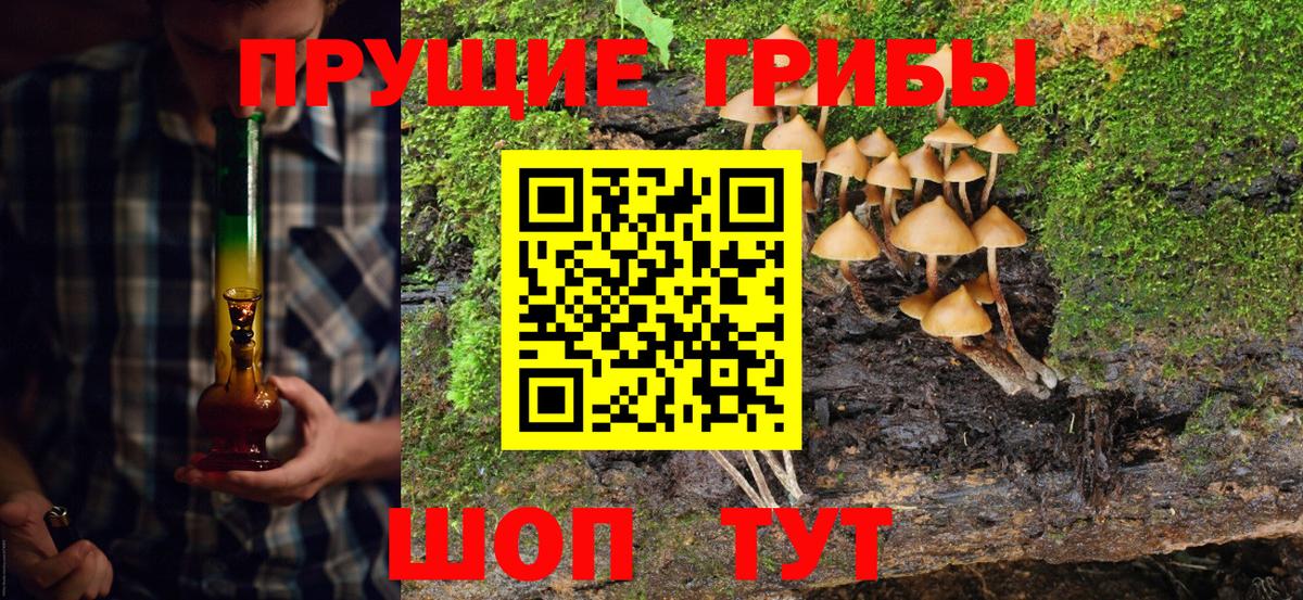 Конопля Ногинск